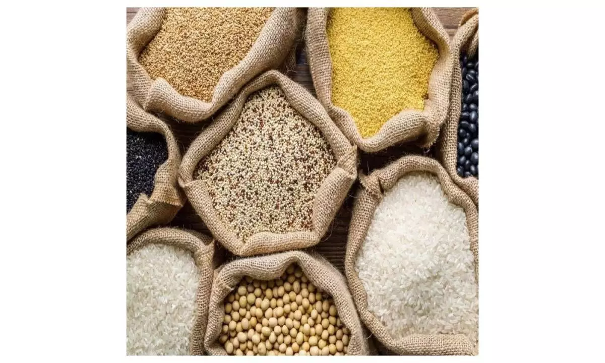 India’s Foodgrain Output Hits Record 376.56 Million Tonnes