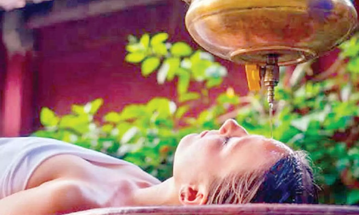 Plan for better medical, wellness tourism: TG CS Plan for better medical, wellness tourism: TG CS