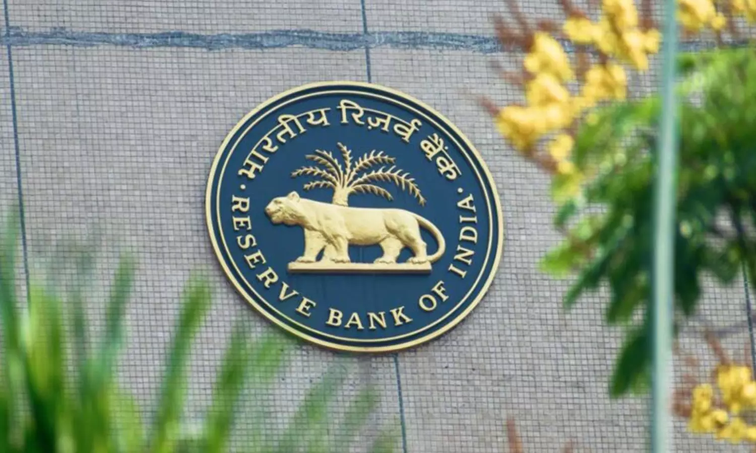 RBI Rules (Representation Purpose)