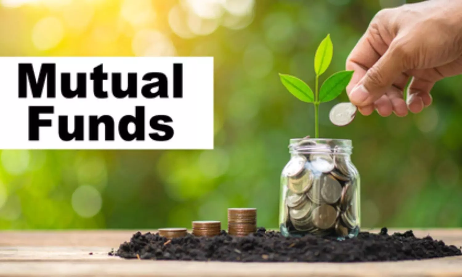 Indian mutual fund industrys average AUM rises 14.1 pc in Q2 FY27: Report Indian mutual fund industrys average AUM rises 14.1 pc in Q2 FY27: Report