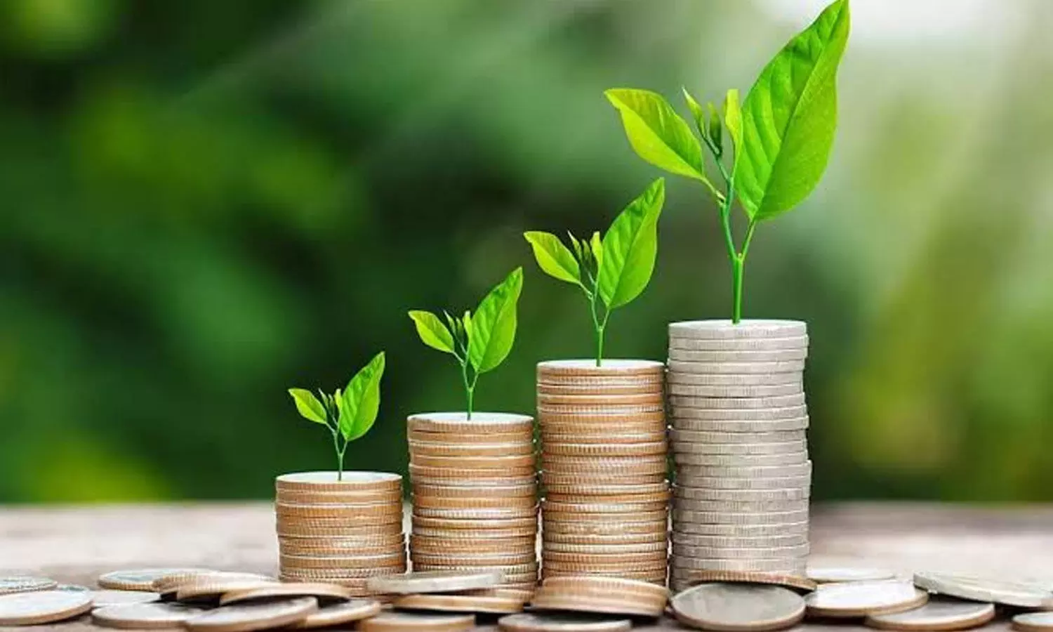 Mutual Fund industry’s average AUM rises 14.1% in Q2: Report